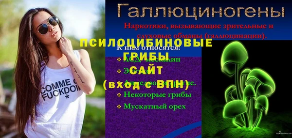 прущий лед Верея